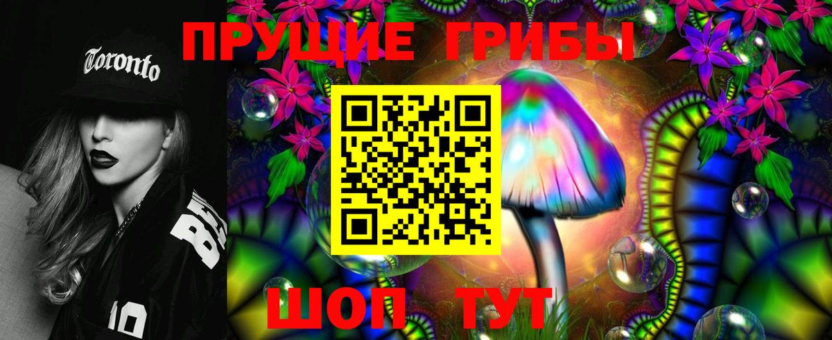 Галлюциногенные грибы Cubensis Кинешма